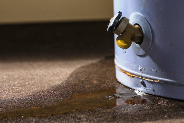 Best Flooded house restoration  in Crosby, ND