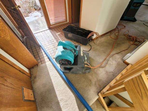 Best Water damage contractors near me  in Crosby, ND