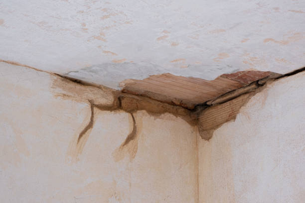 Water damage restoration mold remediation in Crosby, ND