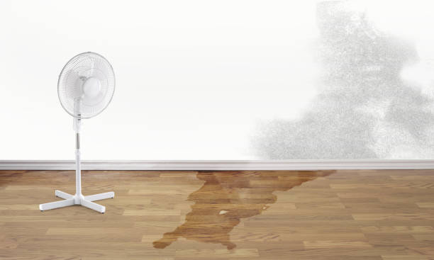 Best Fire Damage Restoration  in Crosby, ND