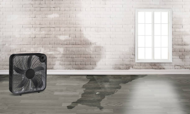 Reliable Crosby, ND Water damage restoration Solutions