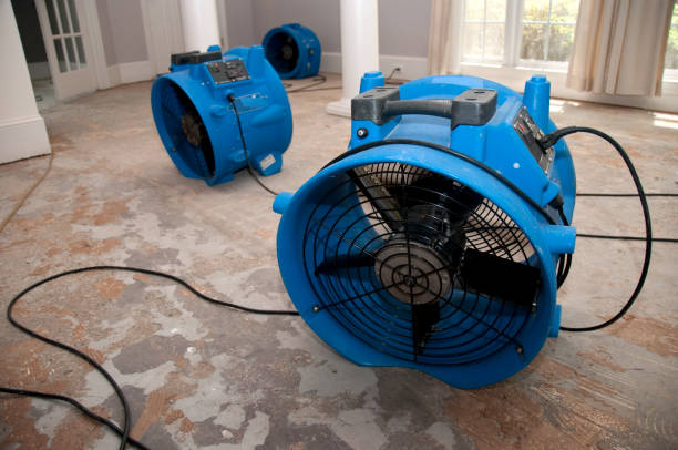 Best Flood restoration services  in Crosby, ND