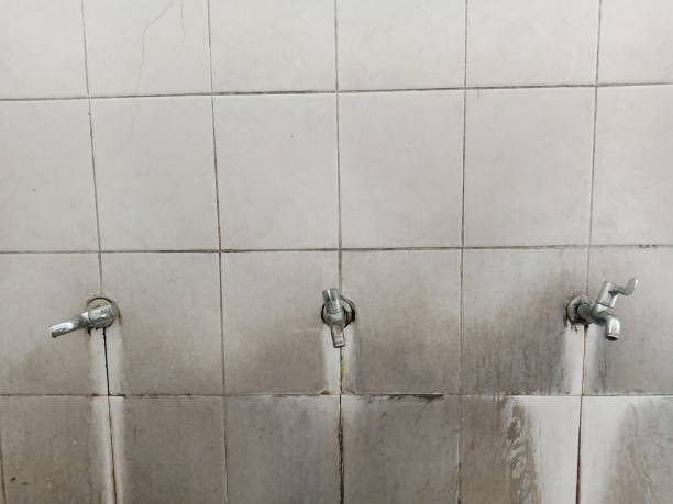 Best Water damage restoration company  in Crosby, ND