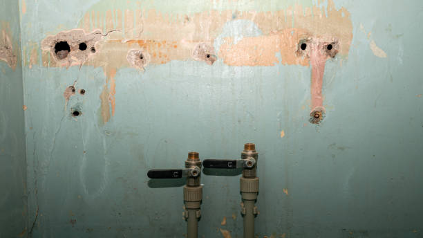 Best Water damage restoration near me  in Crosby, ND
