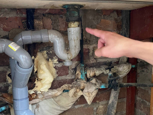 Best Water damage restoration experts  in Crosby, ND